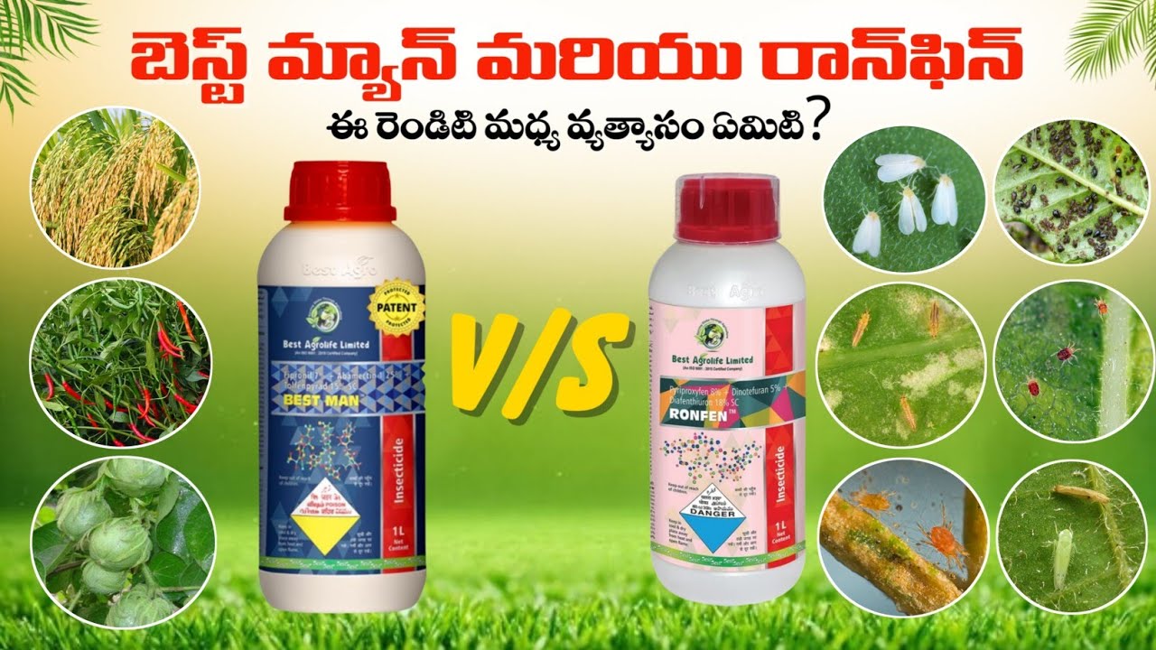 Ronfen మరియు Best man ఏ మందు బాగా పనిచేస్తుంది 