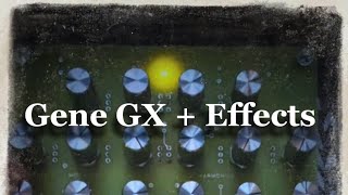 Gene GX synth into effects = beautiful lofi atmosphere