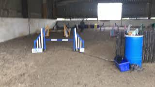 Pachesham steeplechase sept 2019