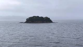 Sarah Island and Grummet Island History