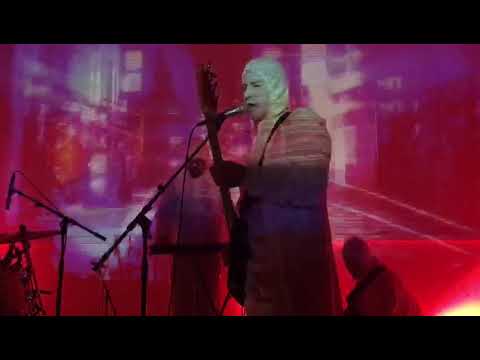 CONCIERTO INUSUAL EN GANTE (PARTE 2) | ELEFANT