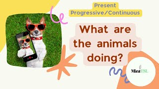 What Are the Animals Doing? | English Present Progressive | Funny Animals Profile