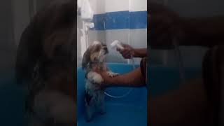 Parte 1 Da Sofia Tomando Banho