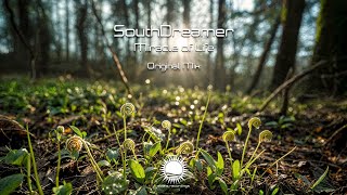 SouthDreamer - Miracle of Life