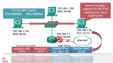 Video – ARP Operation   ARP Reply