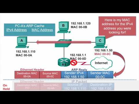 Video – ARP Operation   ARP Reply