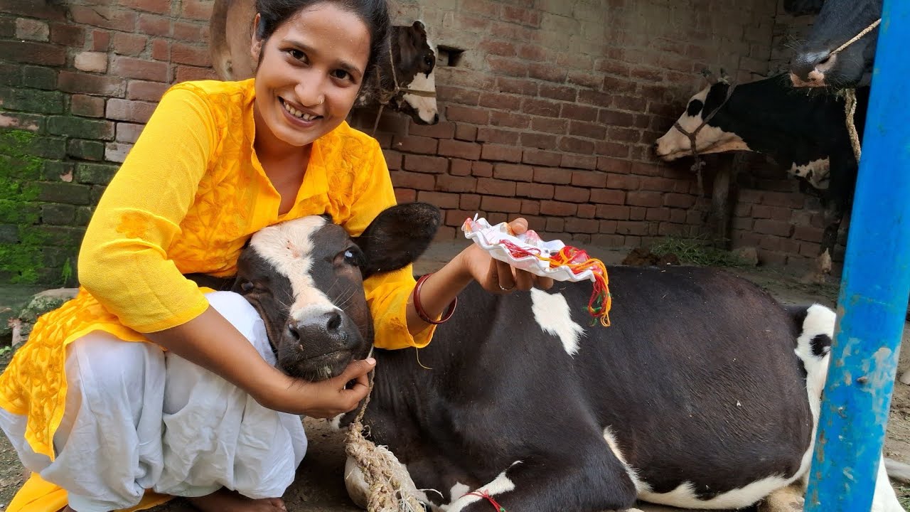 एक रक्षाबंधन 💫ऐसा भी देखने को आंखे तरसे जय श्रीं राधे 🙏