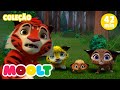 Leo & Tig - Сervo vermelho e MAIS EPISÓDIOS | desenhos para bebês em MOOLT