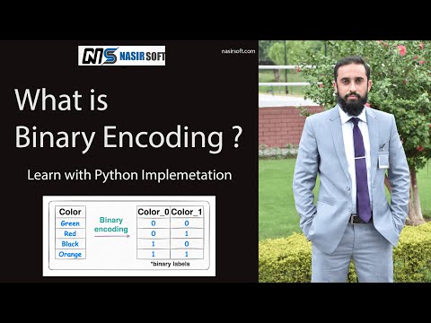 Binary Encoding in Machine Learning: Concept & Python Implementation Explained #pythontutorial