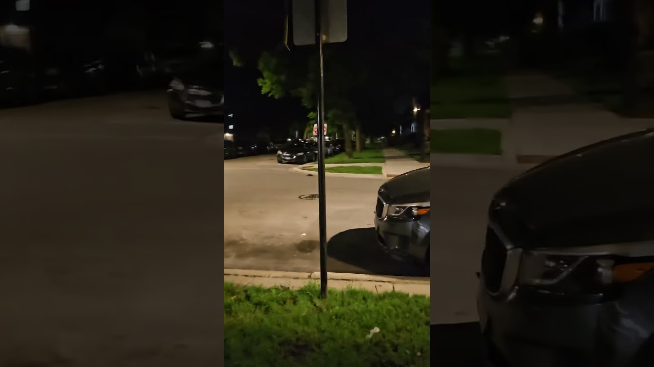 Walk through Chicago: Jackson Park Highlands