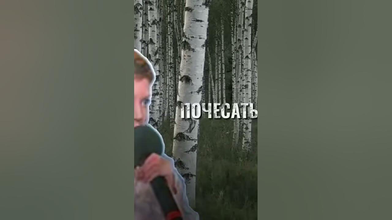 Вышел заяц на крыльцо #заяц #подпишись #смех - YouTube