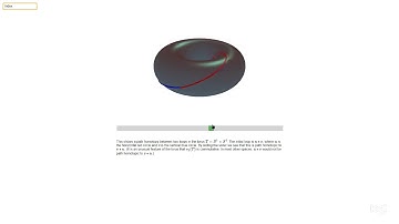 Examples of pinned homotopy