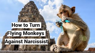 How to Turn Flying Monkeys Against Narcissist (+Smear Campaign)