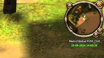 Metin2Global pvm aB THE BEST DMG