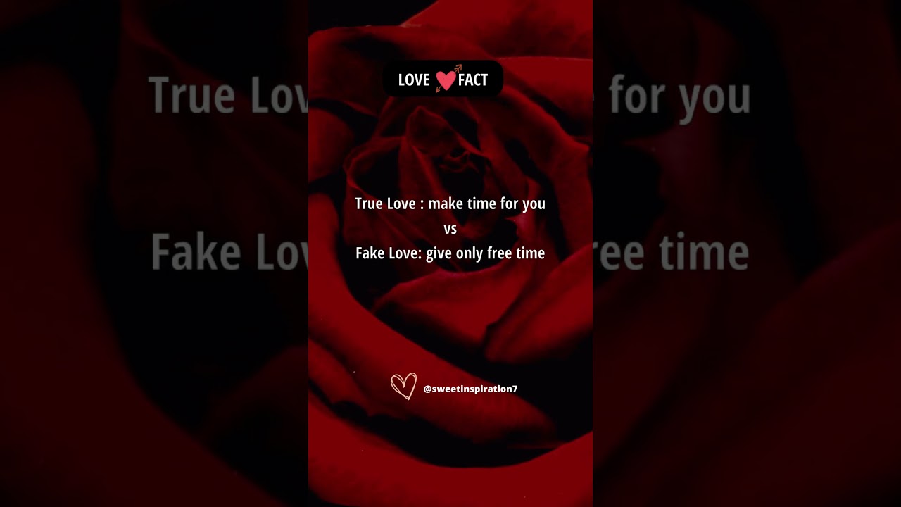 Can You Identify the Difference Between TRUE LOVE and FAKE LOVE? 🤔 