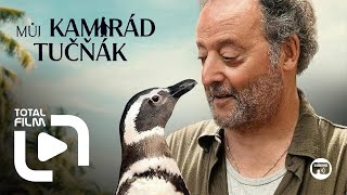 Můj kamarád tučňák (2024) CZ dabing HD trailer #JeanReno