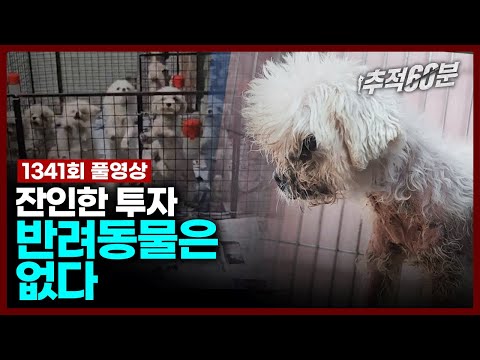 [full] 잔인한 투자, 반려동물은 없다 | 추적60분 1341회 KBS 231027 방송