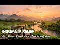 Cozy Rain & Harp 🌾 Nature Ambience & Taiwan Field for Relaxation, Sleep & Meditation
