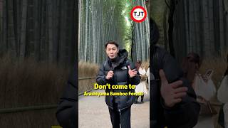 Two hidden bamboo forests in kyoto🎋 #japantrip #funjapantravel #kyoto