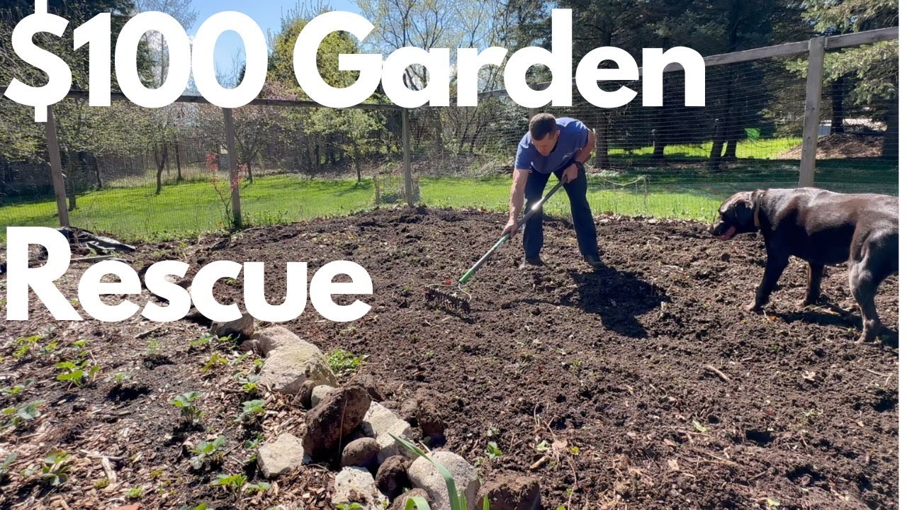 Garden Rehab for Under $100 / Cheap Raised Garden Bed
