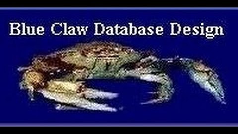 VBA Send Email Code Example Using CDO by Blue Claw Database Design