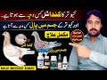 Kabutar ke Kunda Shel aur Jism ki Sojan ka Ilaaj || Malik Maqsood Ahmad”