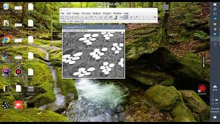 ImageJ 2