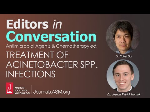 Treatment of Acinetobacter spp. infections