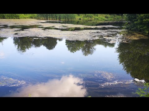 РЕЧЕН РИБОЛОВ на