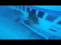 Sunk Ferry Lies 40 Meters Deep In Kaafu Atoll Sunk Ferry Lies 40 Meters Deep In Kaafu Atoll