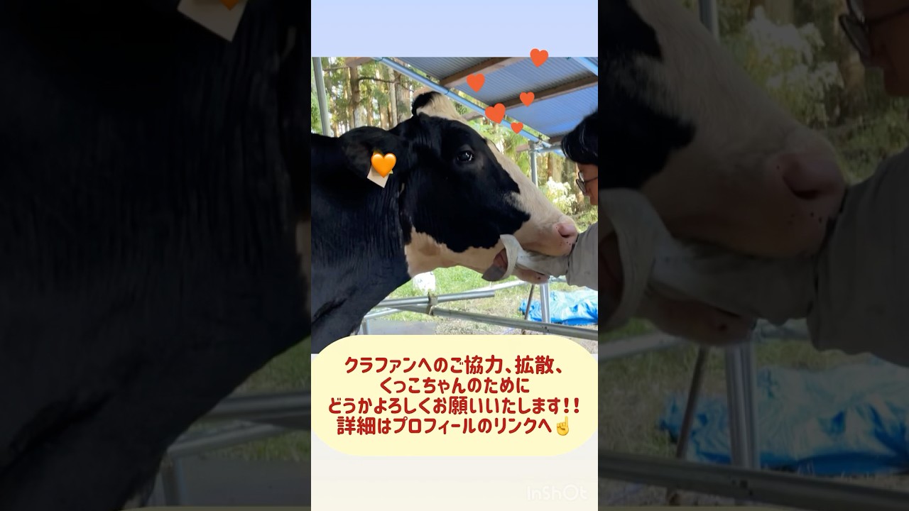 〜動物共栄の里山〜