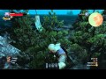 The Witcher 3 Wild Hunt How To Fly 