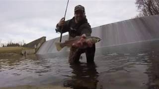 Frigid Winter Fishing - February 2019 screenshot 3