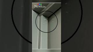 Hot glue used in Vancouver break ins