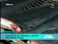 Ecuador: Shark Fin Traffickers Arrested