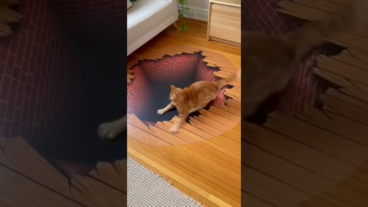 Cat vs  3D Hole The Panic is Real! 🙀🕳️ Funny Reaction