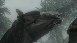 Trying to Get Past the Wagon Scene in Skyrim for 3 Minutes