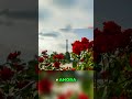 Domina tu Respiración: Técnica de Meditación Efectiva