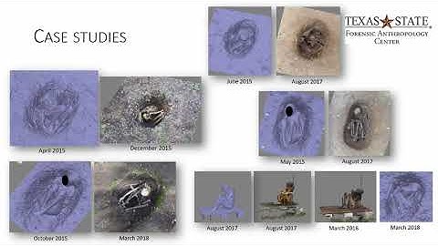 UNDERSTANDING HUMAN BURIAL TAPHONOMY THROUGH ACTUALISTIC EXPERIMENTS AND 3D DATACOLLECTION