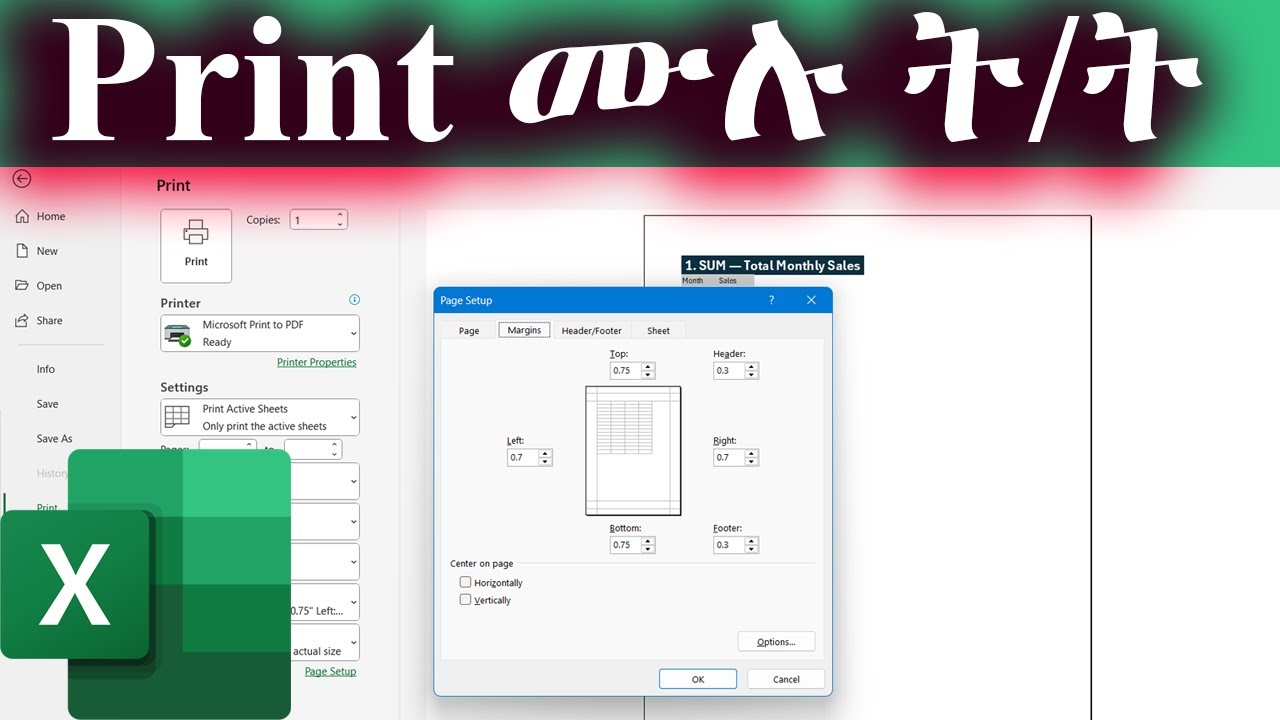 How to Print in Excel | Full Tutorial in Amharic /ኤክሴል ላይ ፕሪንት ማድረግ