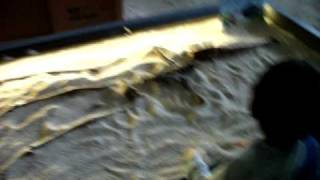 DSCF0803.AVI