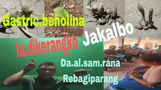 23/4/2024/Gastric.beholi.sako.antangtangan.taree.jakalbo