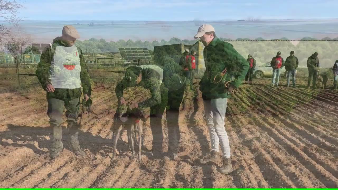 FINALISTAS COPA ZAMORA GALGOS 2025