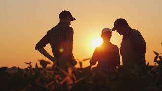 DTN ProphetX screenshot 5