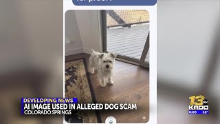 Colo. Springs Police investigate middle schooler’s alleged AI scam to claim lost dog reward