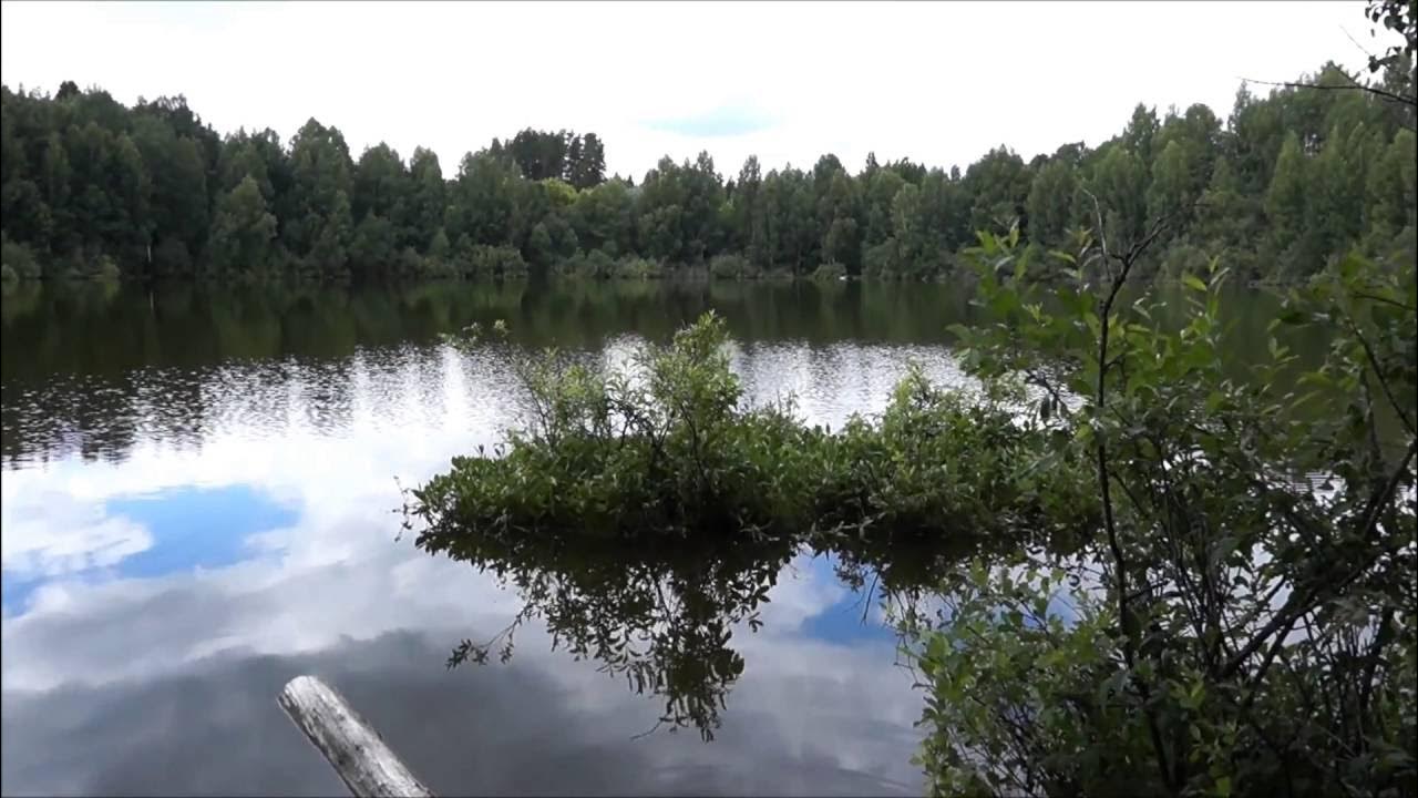 Озеро шайтан кировской. Озеро шайтан Кировской области дрейфующие острова. Озеро шайтан Кировской области плавающие острова. Озеро шайтан Кировской области фонтаны. Лебяжье Киров озеро шайтан.