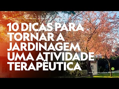 Vídeo: Jardim para a saúde - Benefícios do exercício de jardinagem