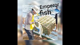 Full Operation of 1 set of Bobo (Fish Trap)