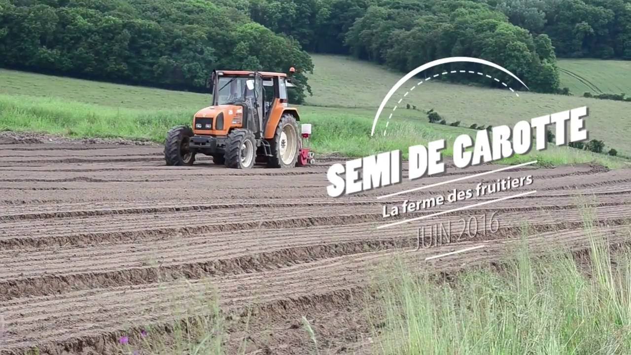 Semi de carotte / La ferme des fruitiers - YouTube