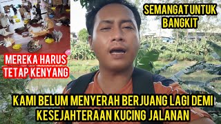 Kami Belum Menyerah Akan Terus Berjuang Untuk Bangkit Demi Kesejahtraan Kucing Jalanan..‼️